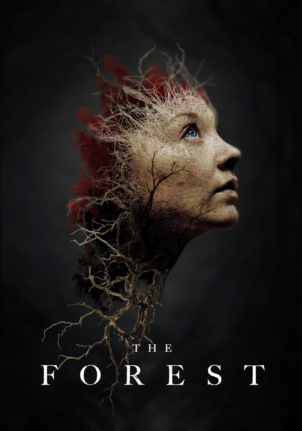 The Forest (2016) ป่าสูบวิญญาณ