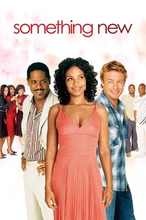 Something New (2006) รักใหม่ ทำไมต้องเธอ