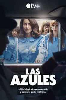 Women in Blue Season 1 (2024)